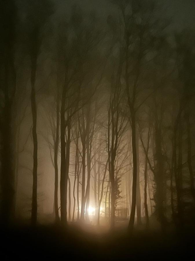 Le Dome De Namur - Une Nuit Insolite Dans Les Bois Exterior foto