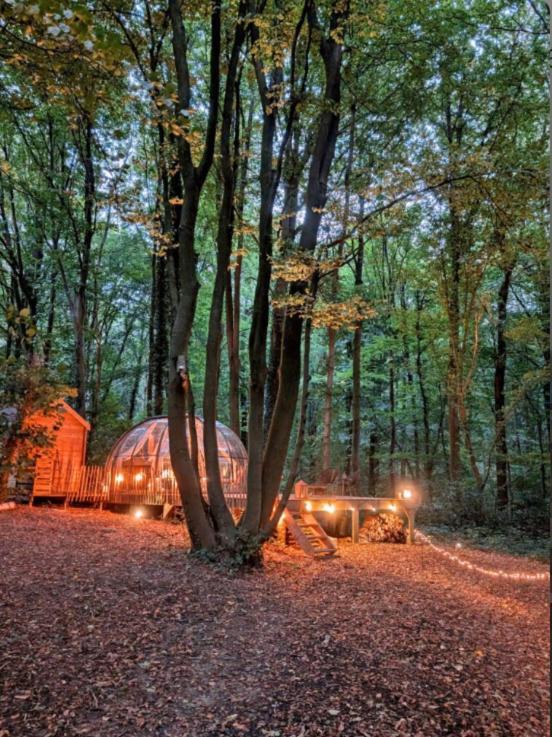 Le Dome De Namur - Une Nuit Insolite Dans Les Bois Exterior foto